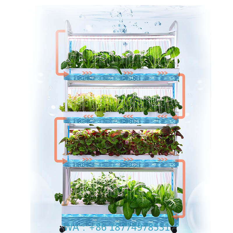 Home Automation System Diy - System hydroponiczny do uprawy roślin, inteligentny